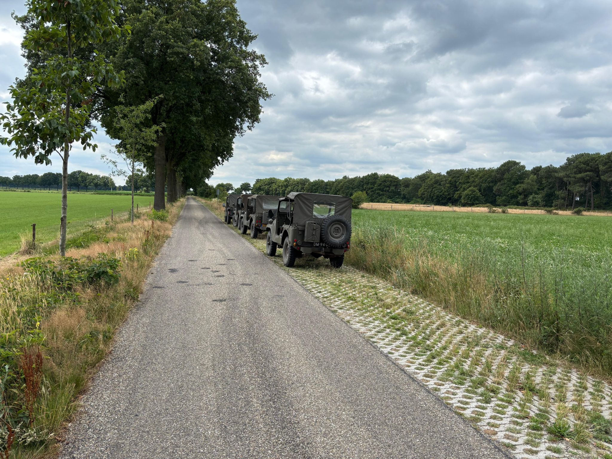 119.jpg